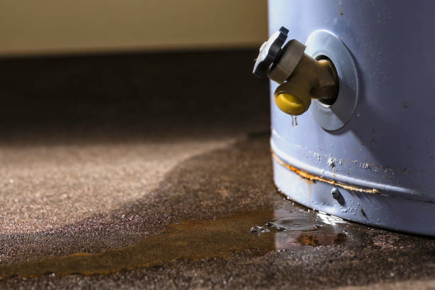 Best Water damage restoration services  in Comer, GA