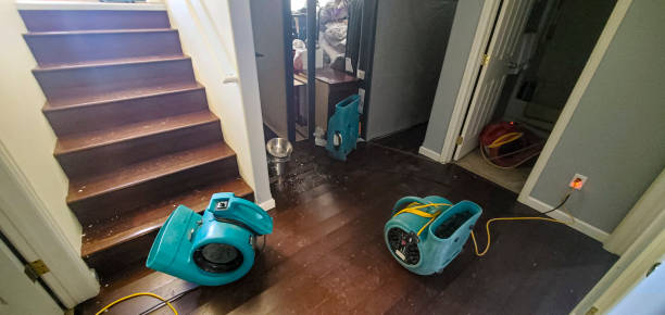 Best Water damage mitigation services  in Comer, GA