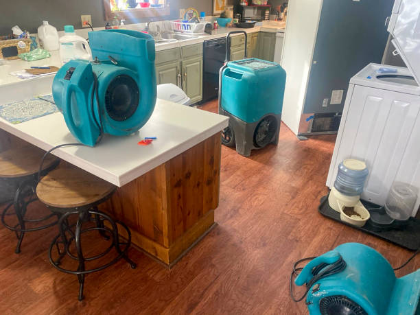  Comer, GA Water damage restoration Pros