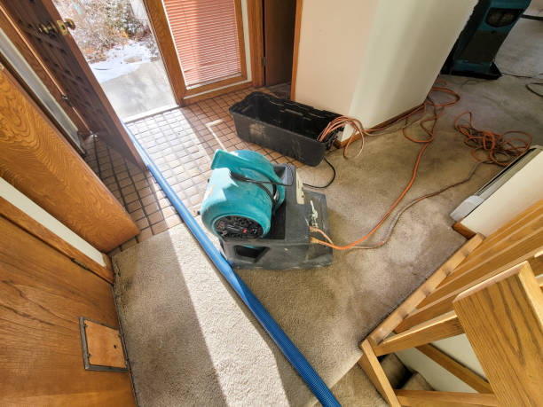 Best Basement water damage restoration  in Comer, GA