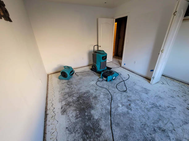 Best Flood damage cleanup  in Comer, GA