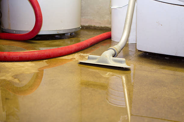 Best Flooded house restoration  in Comer, GA