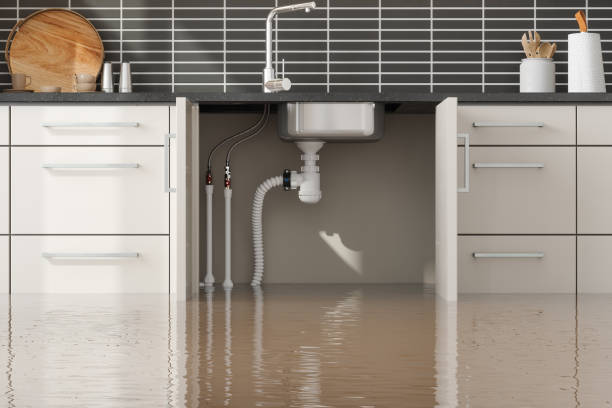Best Ceiling water damage repair  in Comer, GA