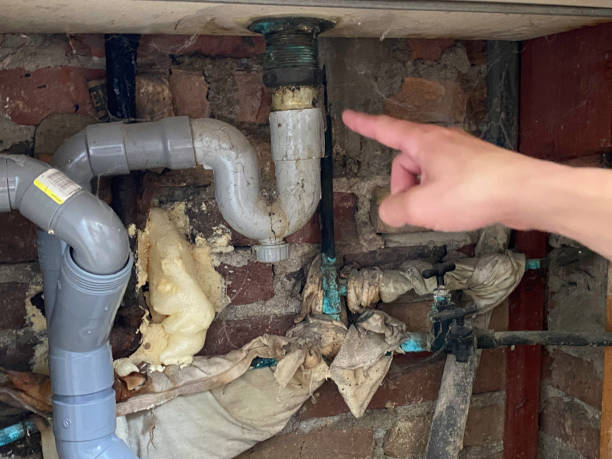 Best Flood damage cleanup  in Comer, GA