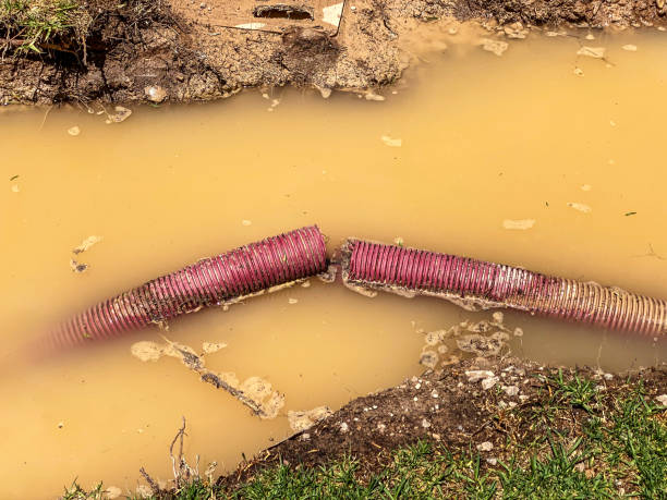 Best Water damage restoration experts  in Comer, GA