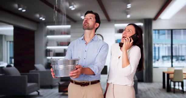 Best 24/7 water damage repair  in Comer, GA