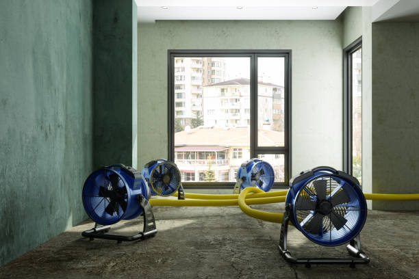 Best Commercial water damage restoration  in Comer, GA