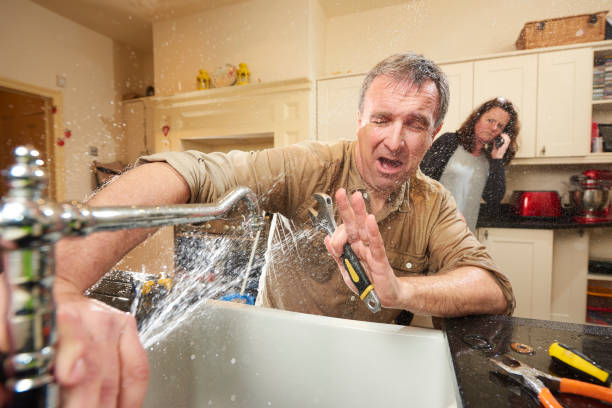Best Professional water damage repair  in Comer, GA